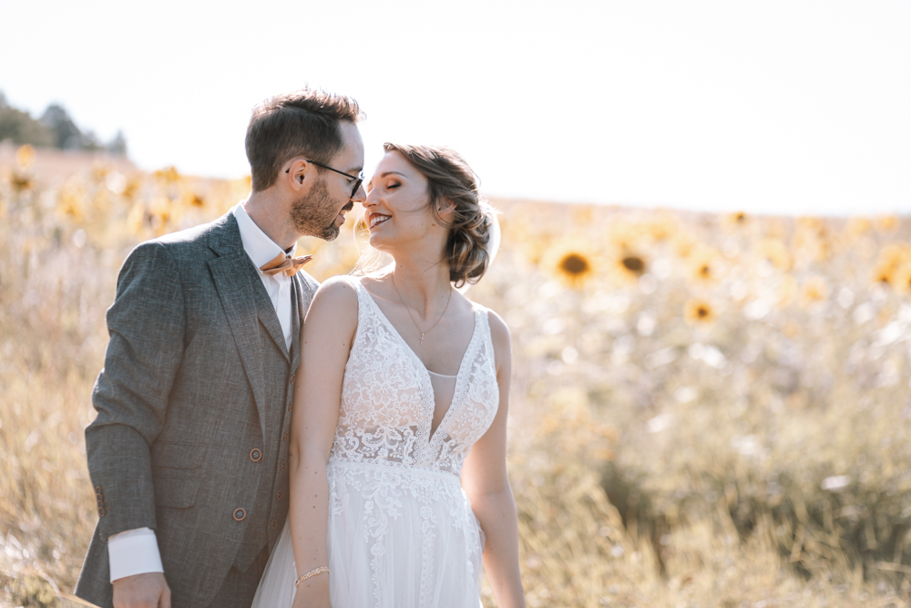 Hochzeitsshooting - Brautpaarshooting - Brautpaar küsst an einem Sonnenblumenfeld